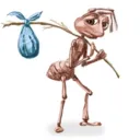 angel.da.g0at avatar