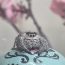 avatar BeckaMassacre