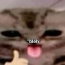 avatar ᯓ★ Hoshi ⭑.ᐟ