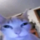 simon12450989 avatar