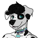 knoxthedalmatian