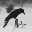 alteringvibes