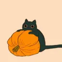 pumpkin2010