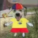 pedrosapecagens avatar