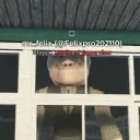 felixpro202110