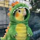 avatar Klimsi ❛ ᴗ ❛