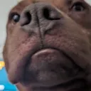 chxwbacka