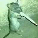 mr.cookie0395 avatar