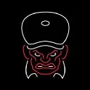 birminghambruisers