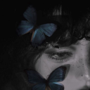 avatar ᴍᴀʀᴄɪ