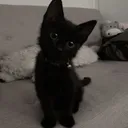 owxvzxvxoqwoiruthbbasdfysafdzfss