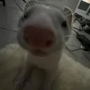 thegodlynoob