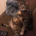 Аватар 9999995