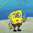 rishrl