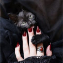 avatar adeline