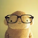 rr.katt