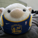 avatar Steph Furry