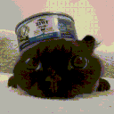 yhfhdcf