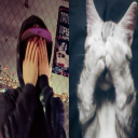 avatar kawaiikittygirl:3