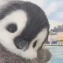 flophie