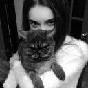 avatar qwe
