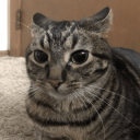 Discord Avatar