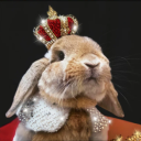 avatar Not Soundriver