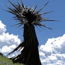 avatar 𝘿𝙖𝙣𝙞