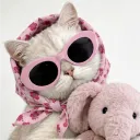 .baby_pink