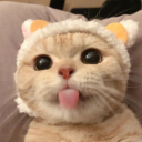 spwte