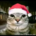 Аватар ivan_21812