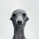 avatar Pandino.(23cm)