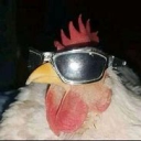 avatar TheRooster_Man