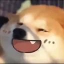 hgt0