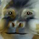 shironekontact