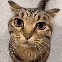 f15gg_ avatar