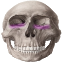 sakuraixid#0's pfp
