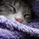 soykiiwi_