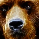 raaawrbear