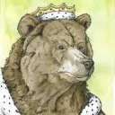 thegreatgrizzly