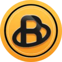 bridgecoin7138