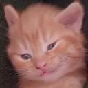 matthepro avatar