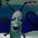 jusjbtradernopolaires