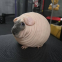 Discord Avatar