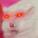 uhuinode