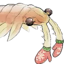 zoru