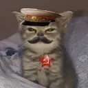 bkq_