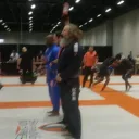bjjfrankthetank