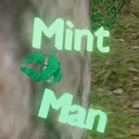 mintmanvr