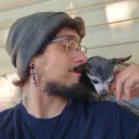 midknightsinz